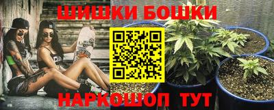 шишки Гусиноозёрск